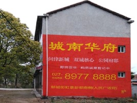 屏边百分之90的人都不了解的农村墙体广告