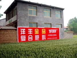 屏边如何让墙体广告展现最大化效果