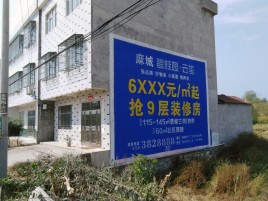 屏边墙体广告质量分析